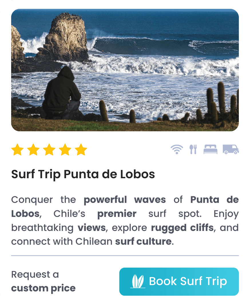 Surf Trip Punta de Lobos