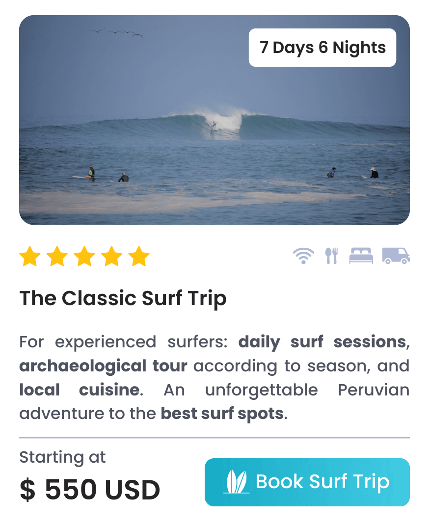 The Classic Surf Trip